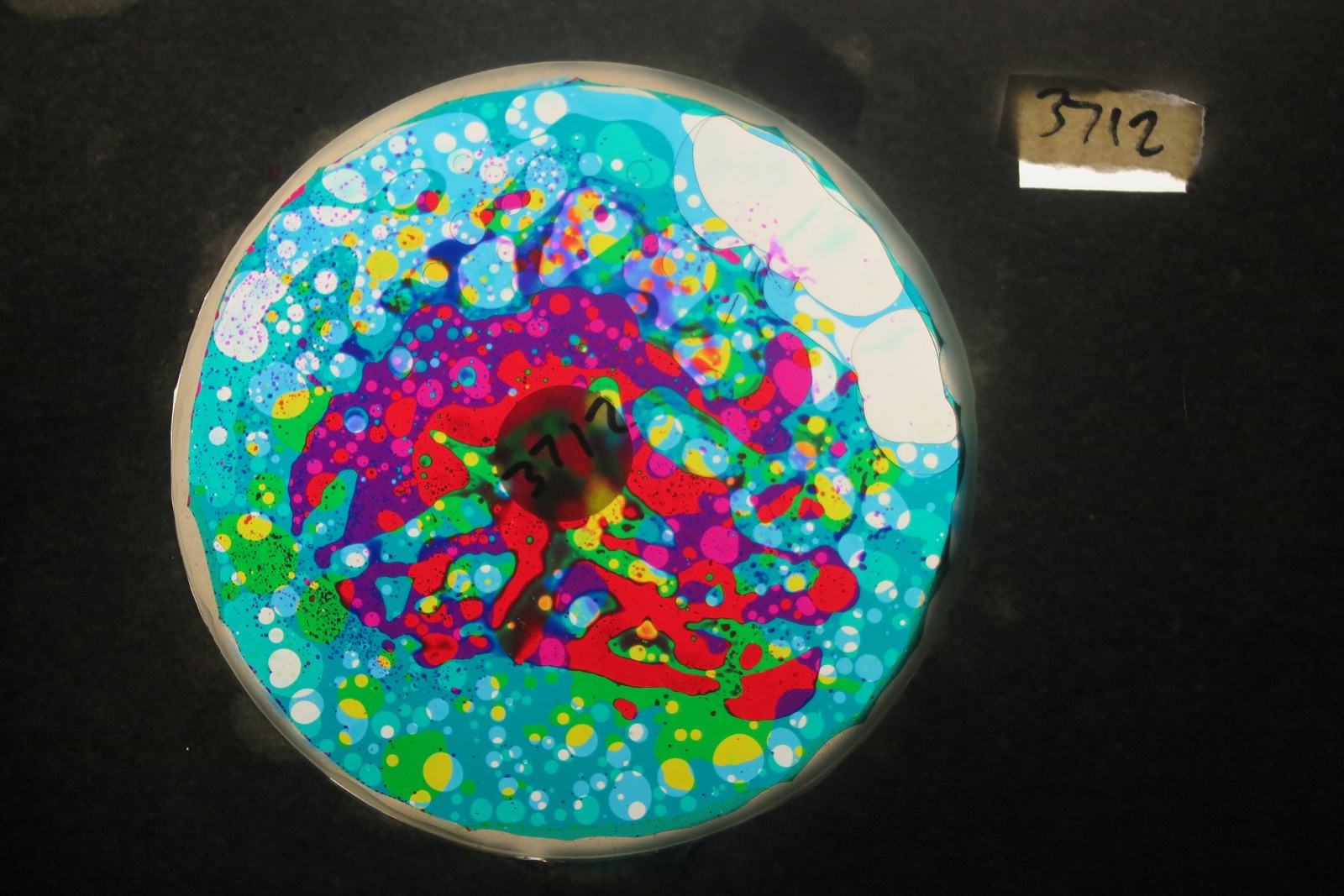 BV3712 bubble vision oil wheel